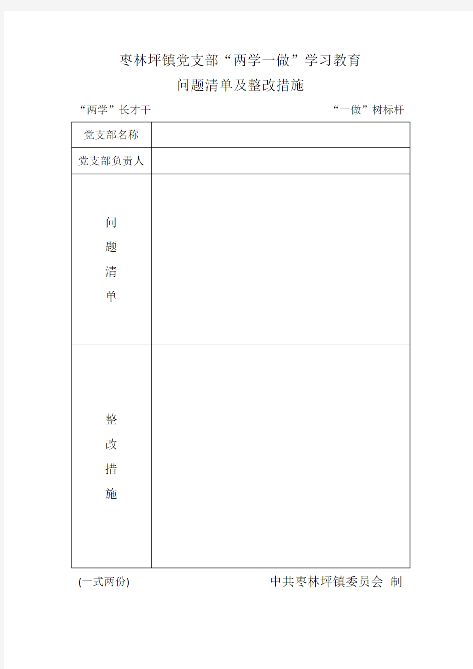 党支部问题清单及整改措施