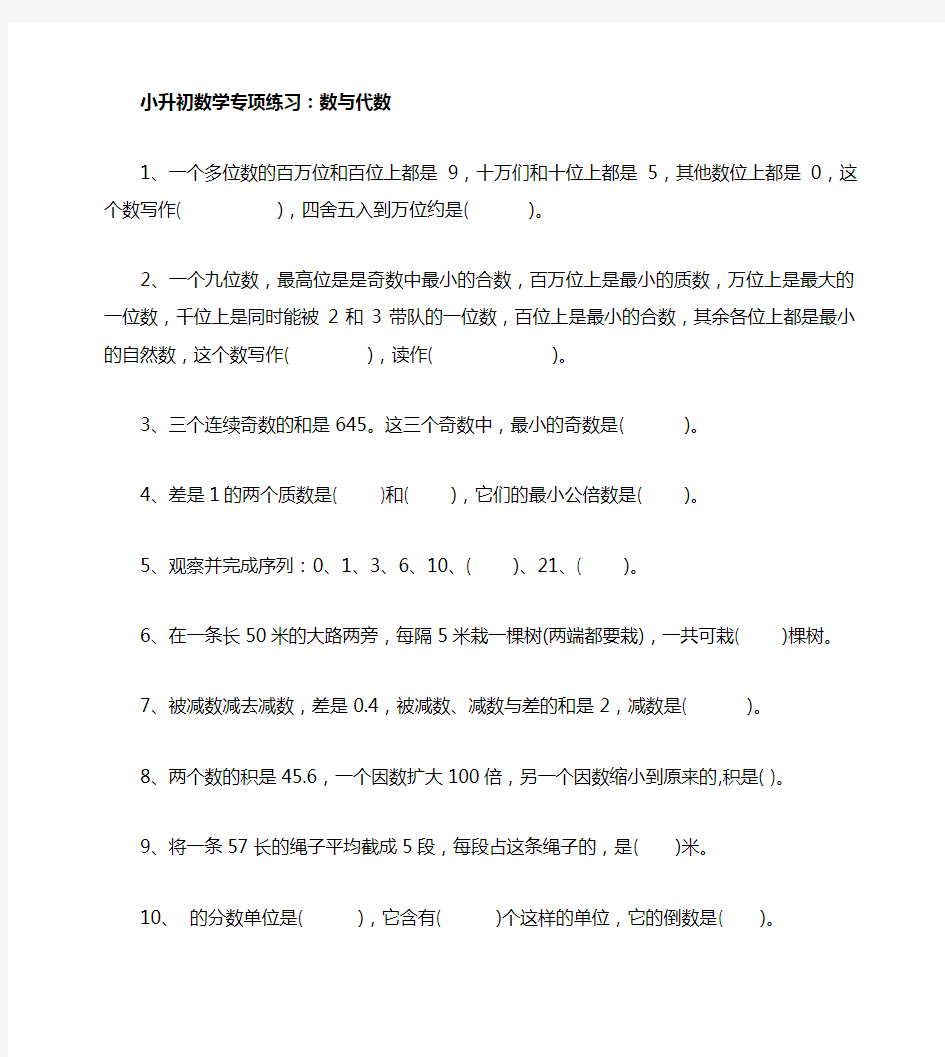 六年级数学小升初数学专项练习 数与代数