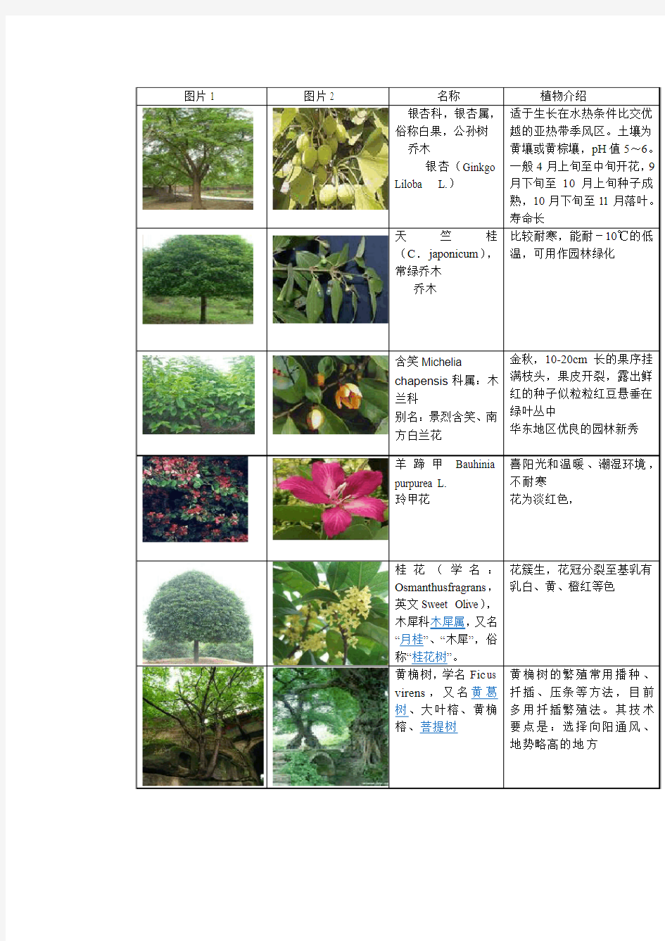 园林常见植物(图片、习性等)