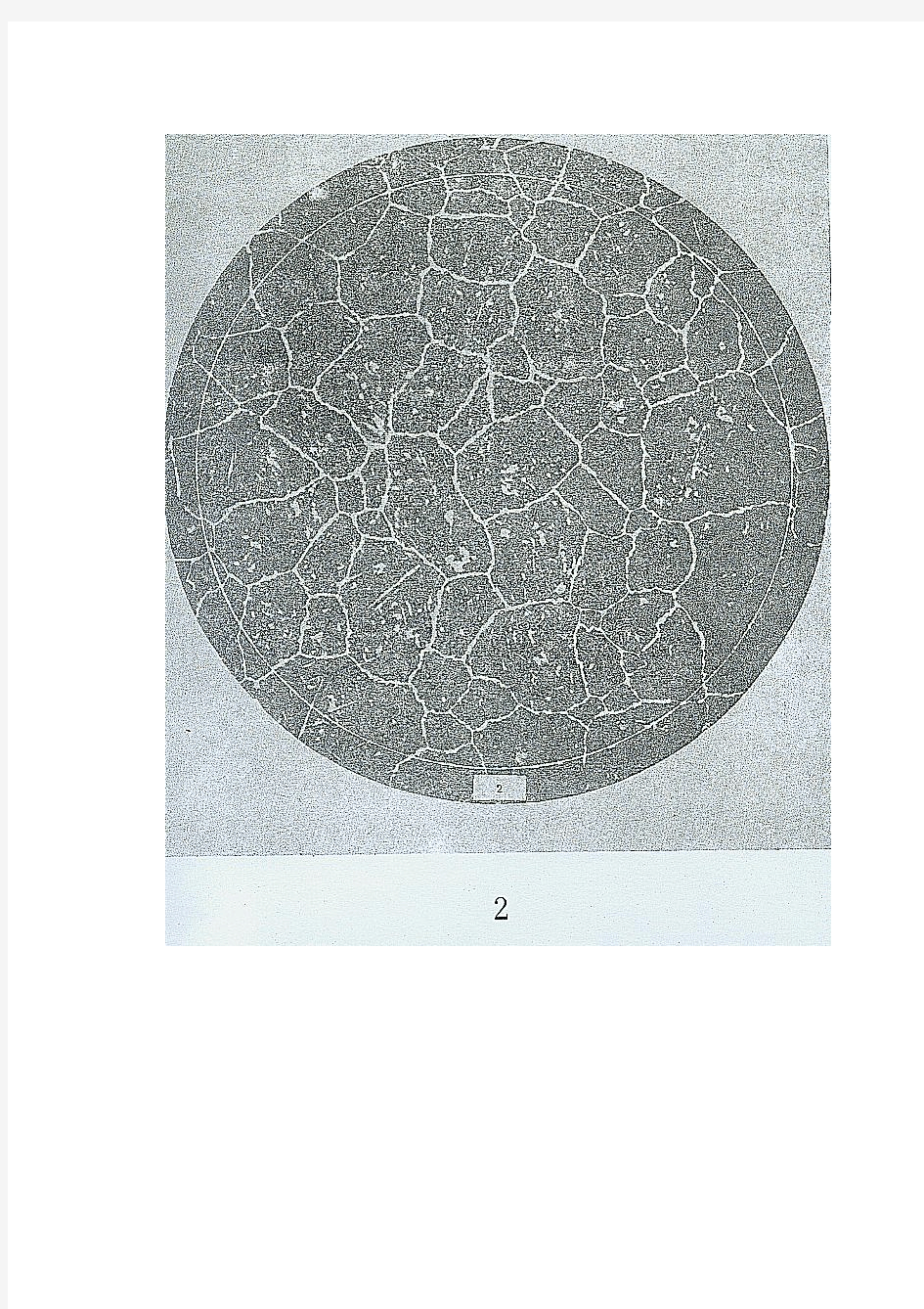 奥氏体晶粒金属平均晶粒度标准评级图(gb6394-2002)