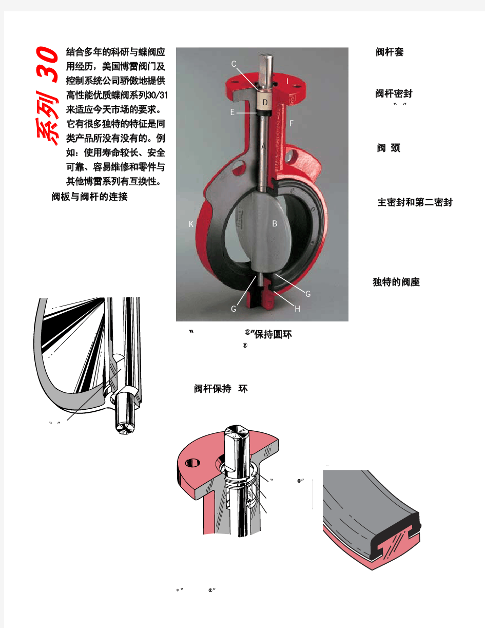 Bray蝶阀30-31系列