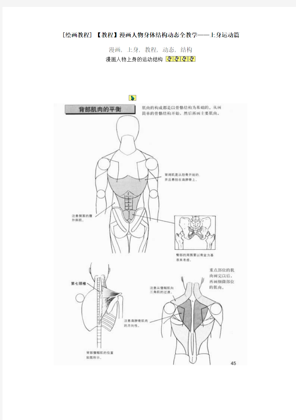 [绘画教程] 【教程】漫画人物身体结构动态全教学——上身运动篇