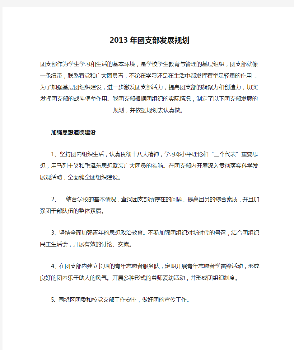 2013年团支部发展规划