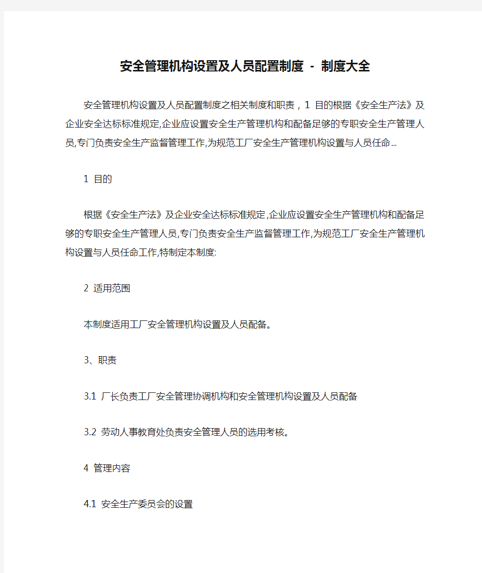 安全管理机构设置及人员配置制度 - 制度大全