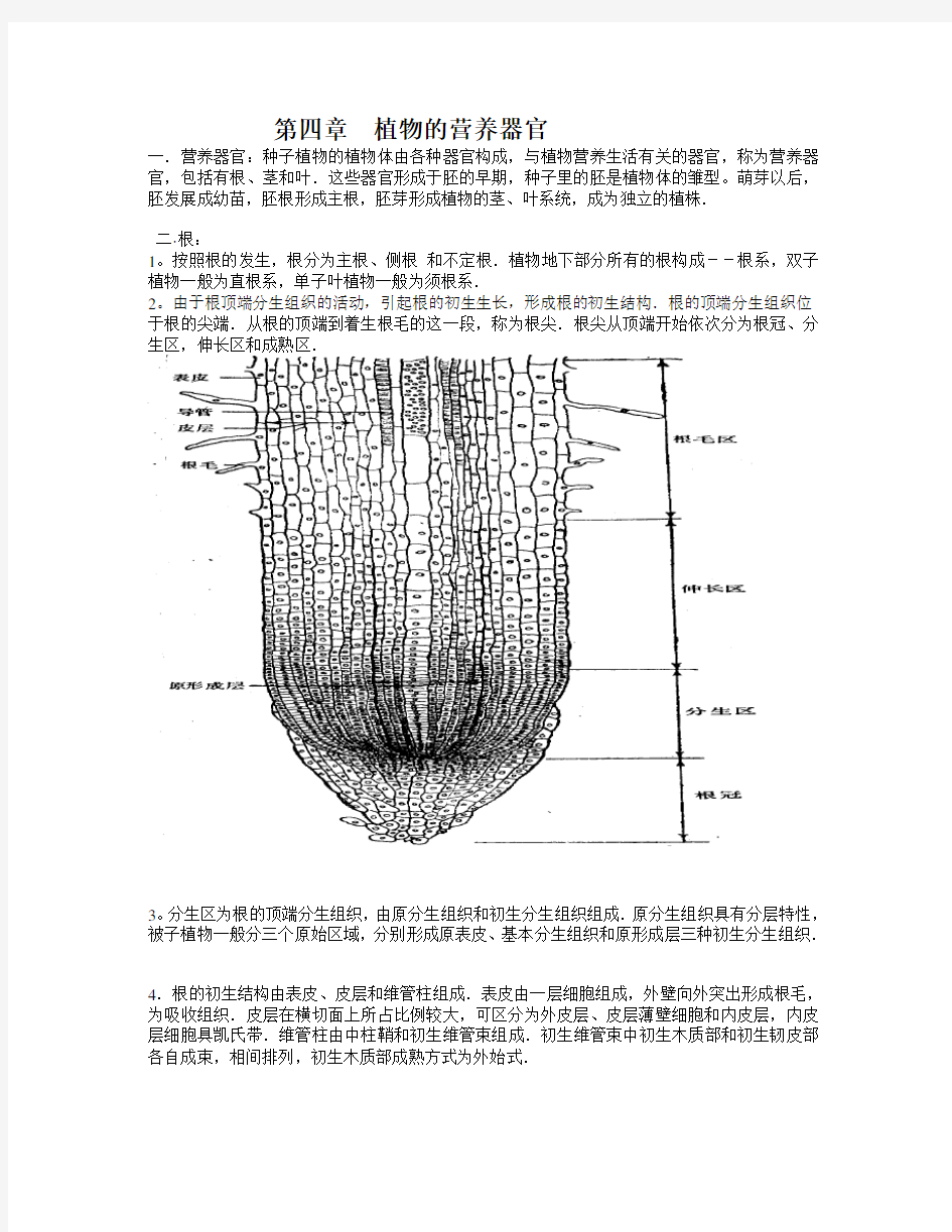 1-4植物的营养器官(1)