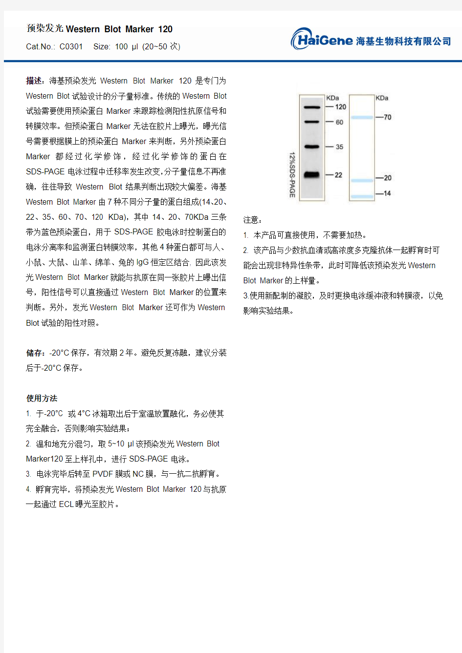 Western Blot marker