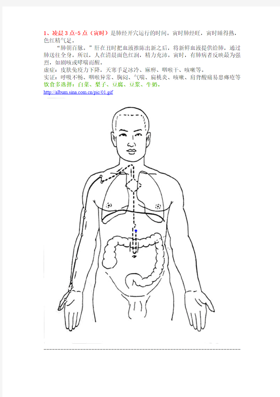 人体中医经络图