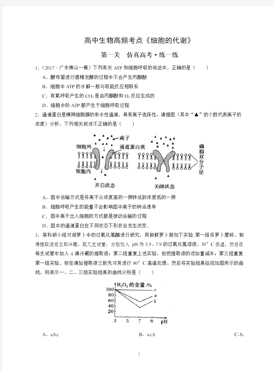 高中生物高频考点《细胞的代谢》(习题+总结)