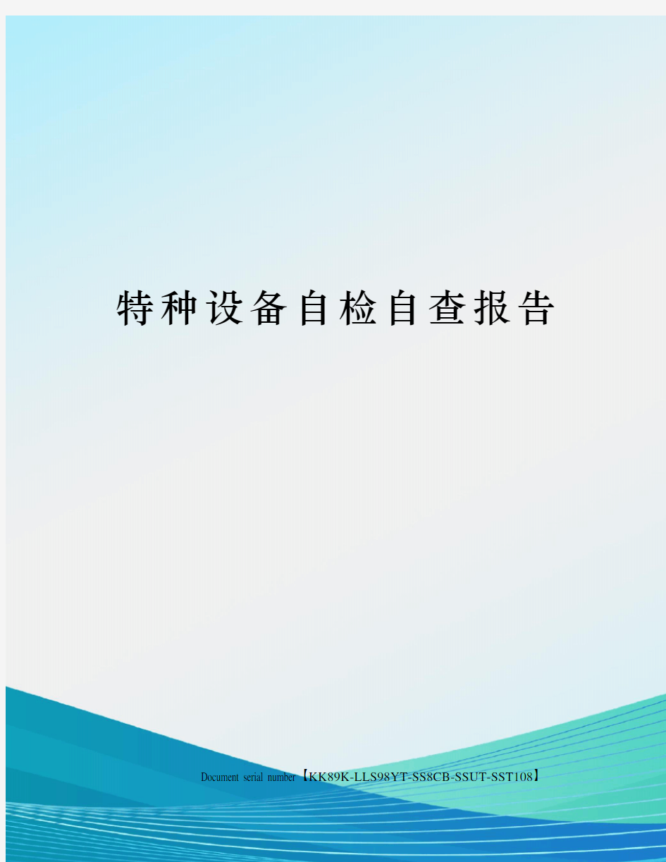 特种设备自检自查报告