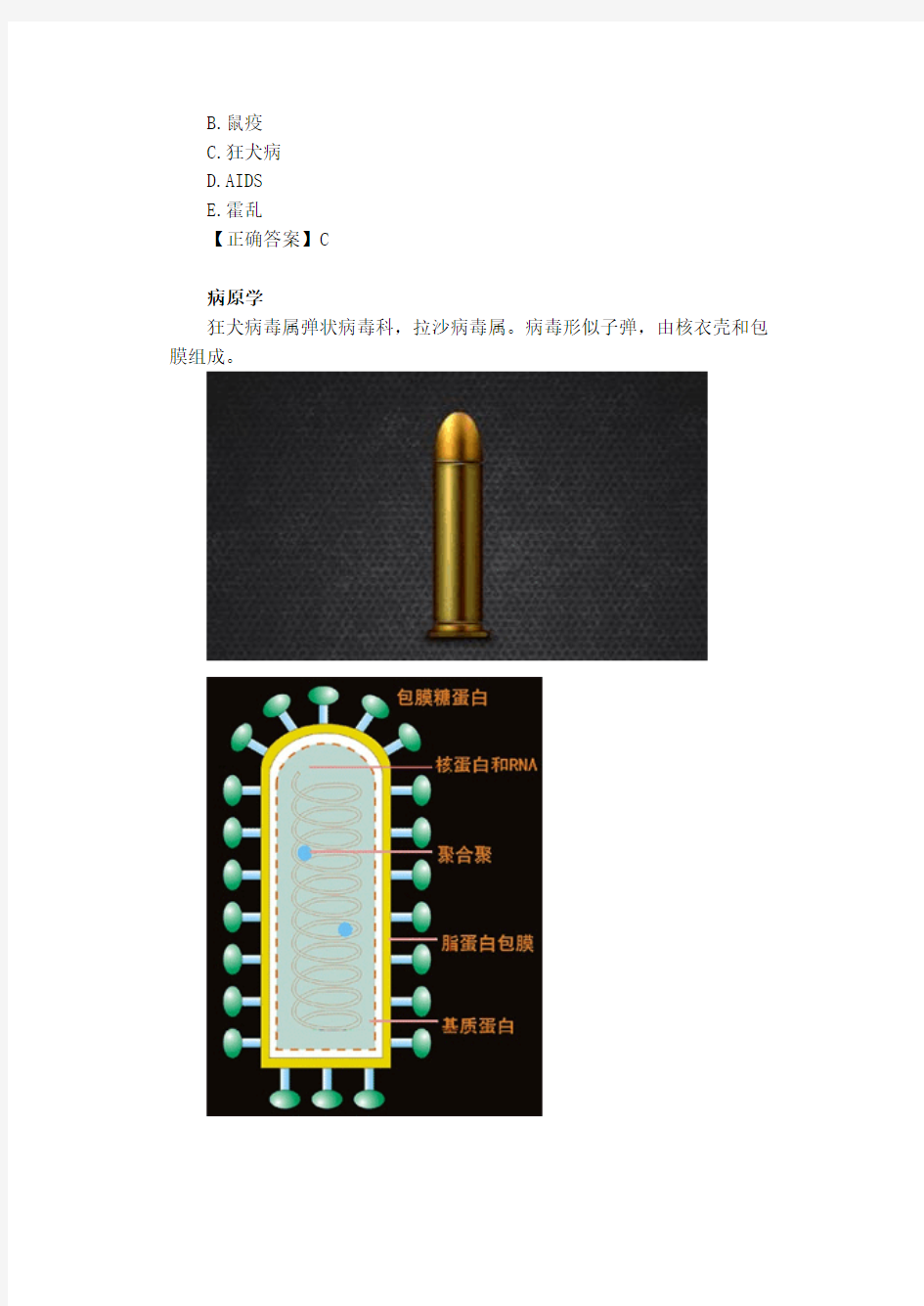 第七章 狂犬病