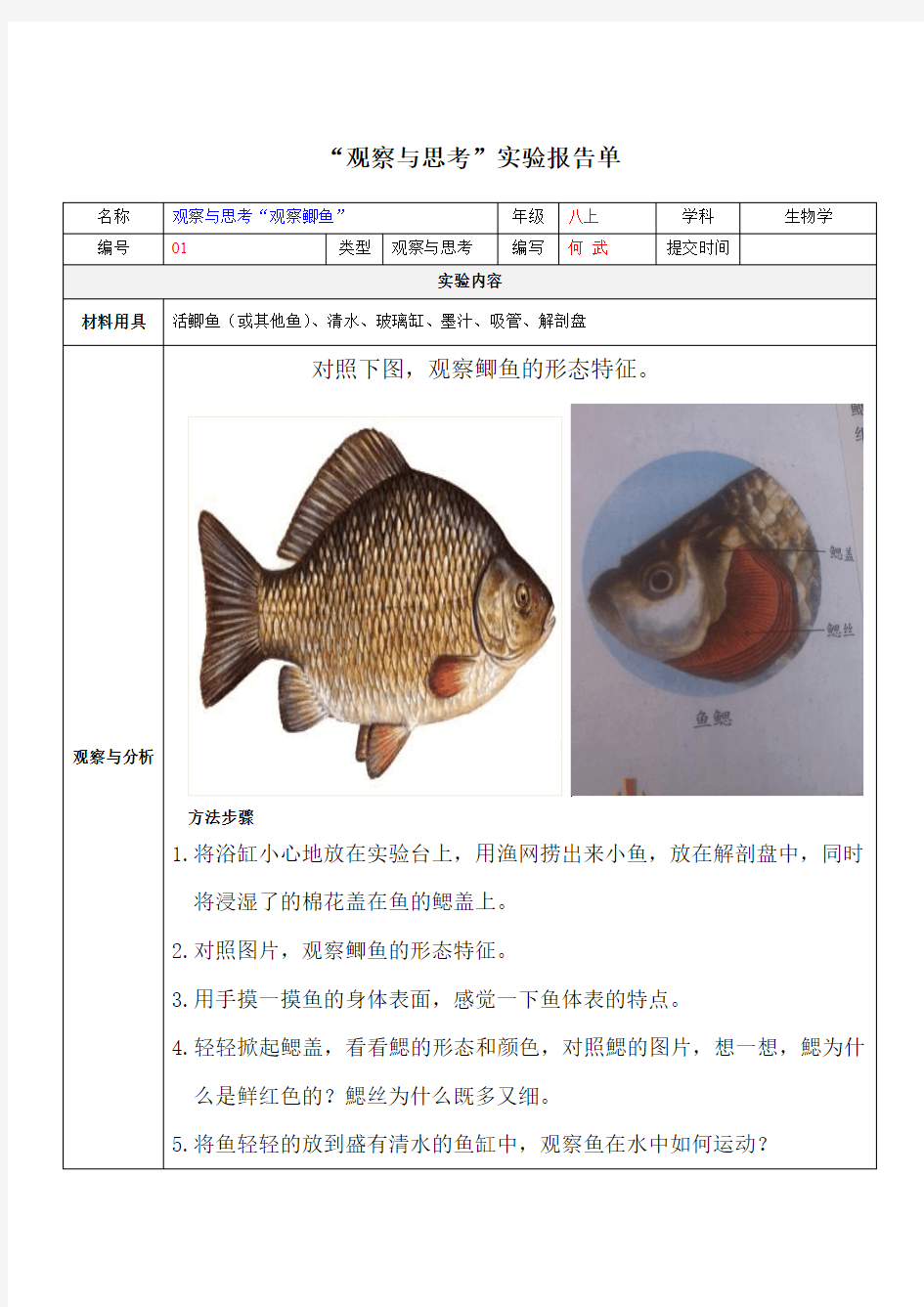 “观察与思考”鲫鱼实验报告单-何武