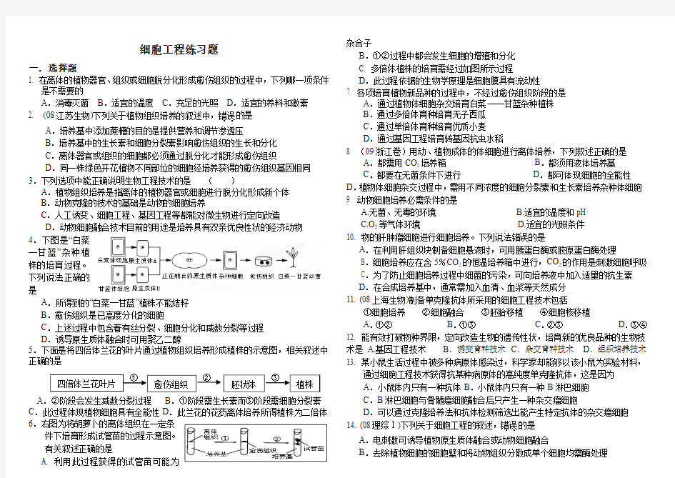 细胞工程练习题(附答案)