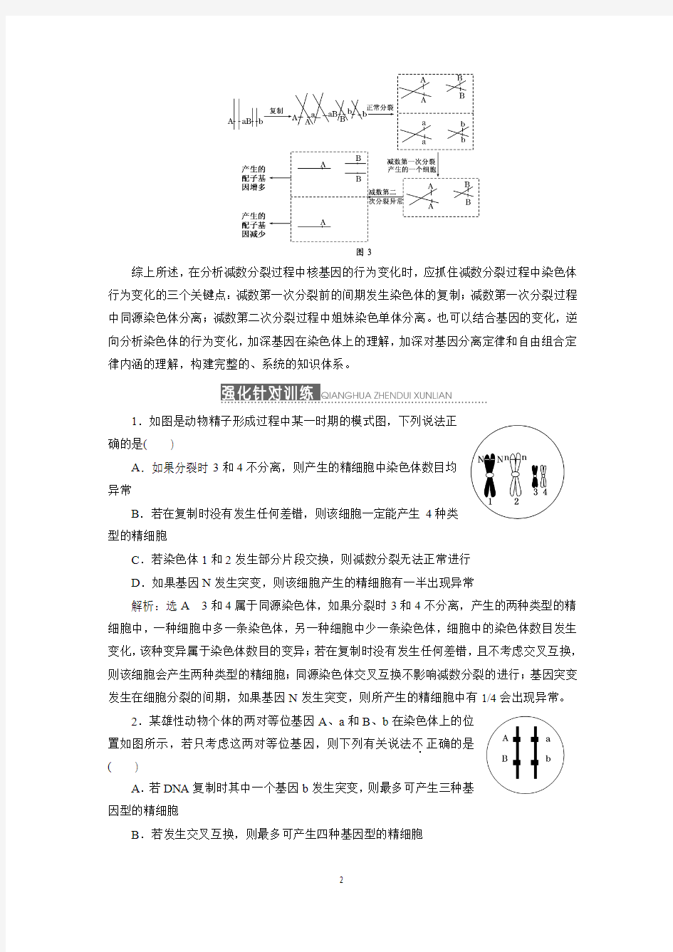 追踪减数分裂中基因的异常行为变化(生物)