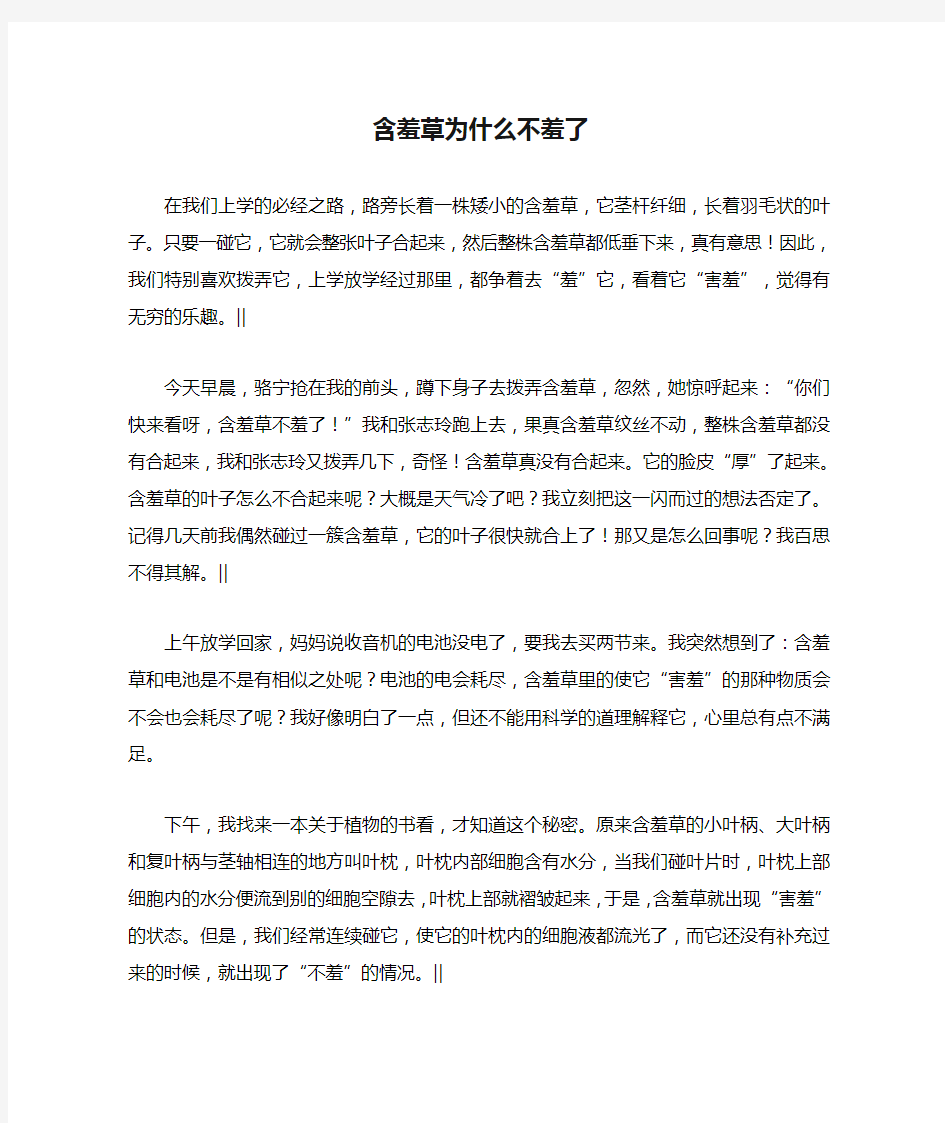 含羞草为什么不羞了