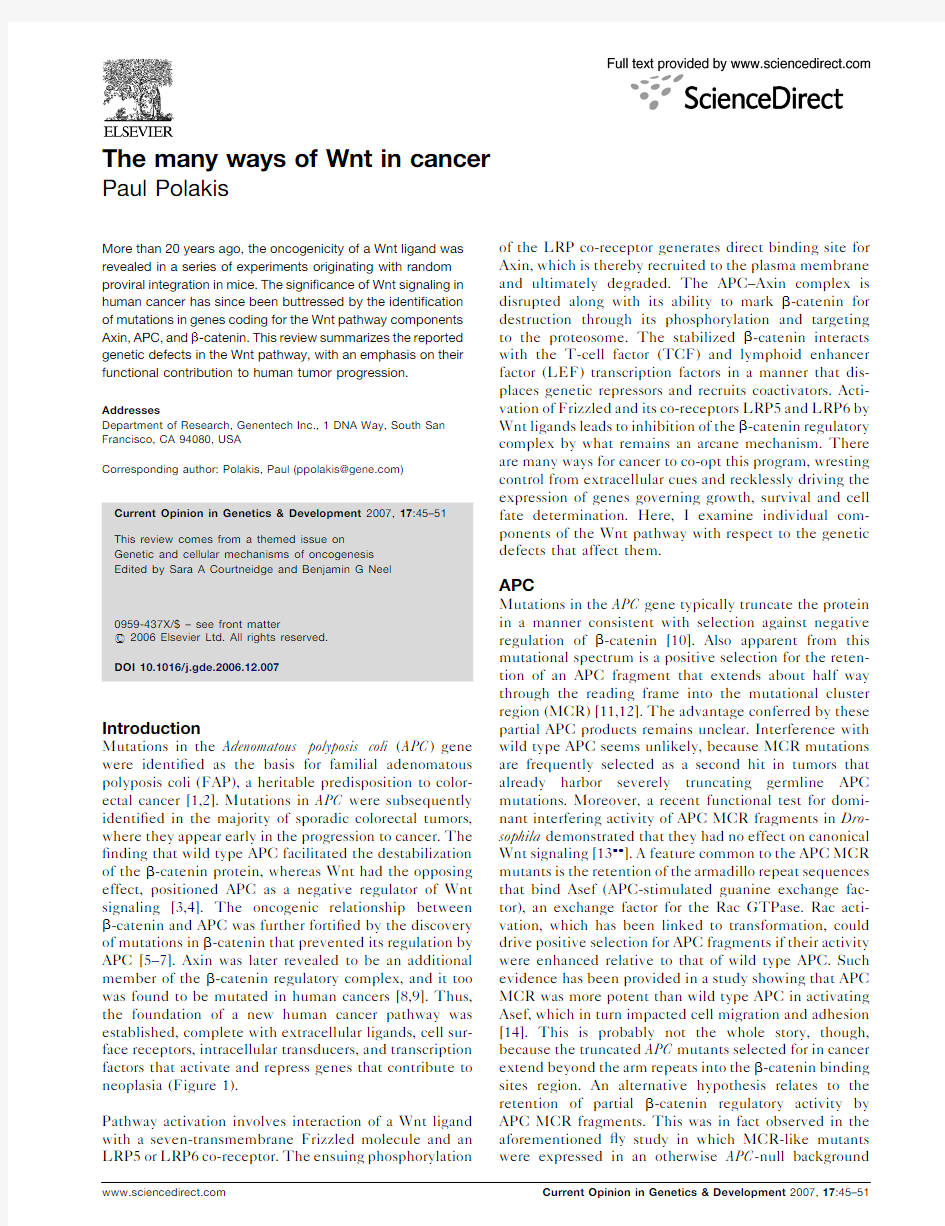 The many ways of Wnt in cancer