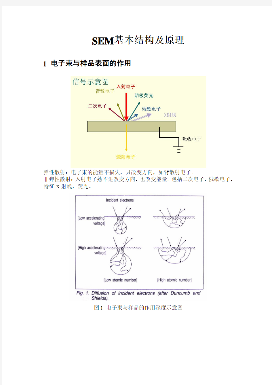 SEM基本结构及工作原理.pdf