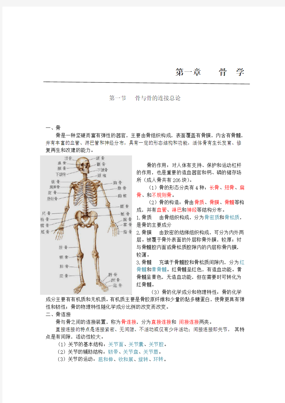 医学笔记：人体解剖学之骨学