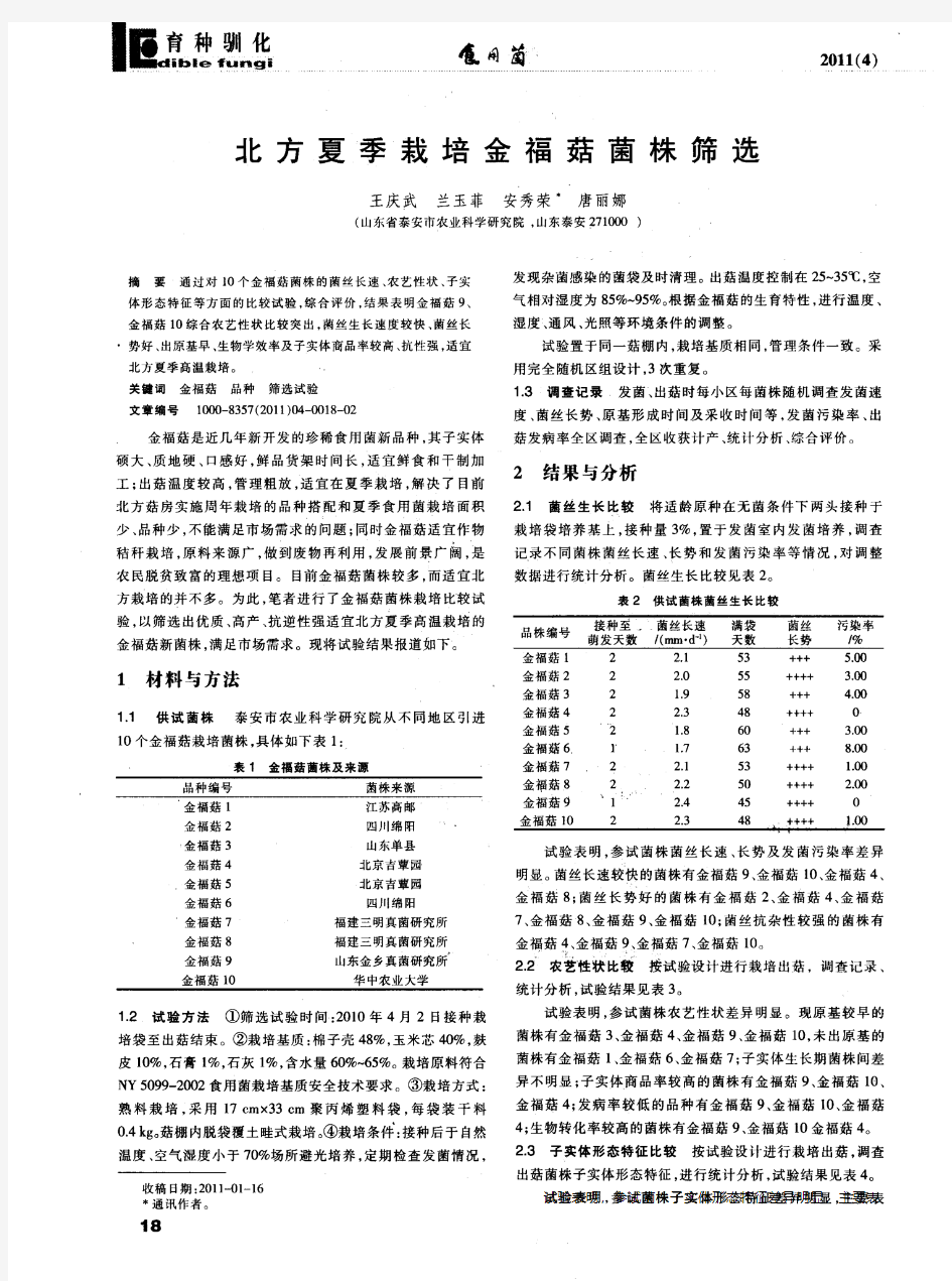 北方夏季栽培金福菇菌株筛选