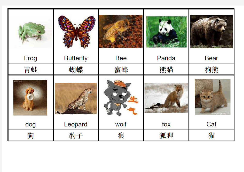 幼儿童趣英语单词彩色图片卡-可以自行添加打印-动物篇