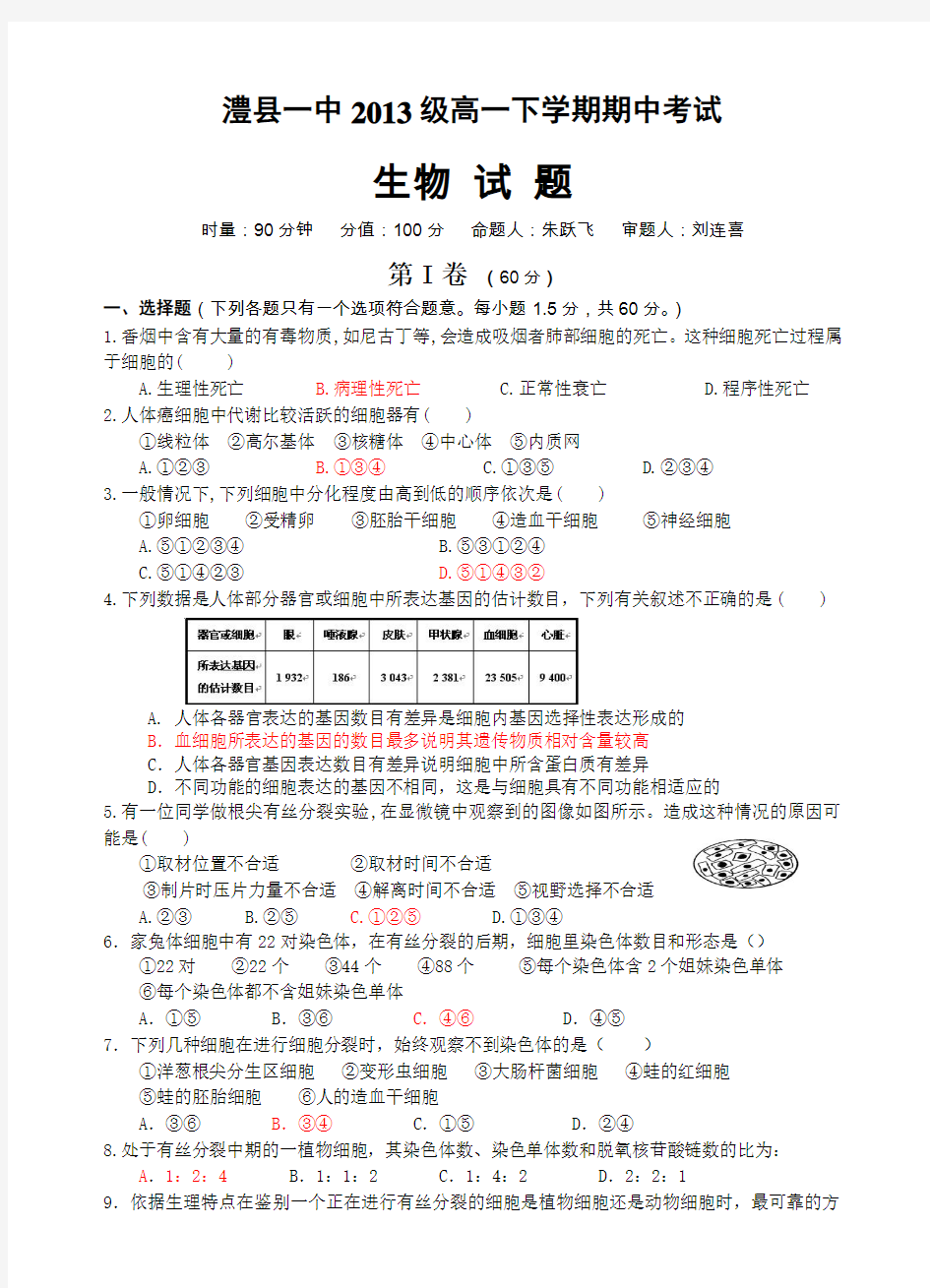 高一下学期期中考试试卷及答案