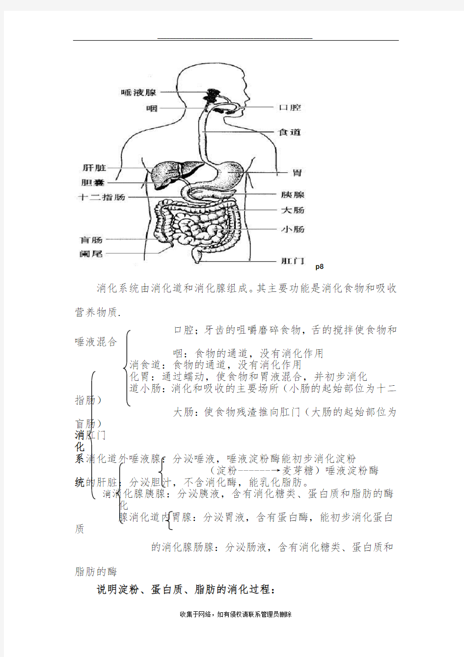 最新七年级下册生物图