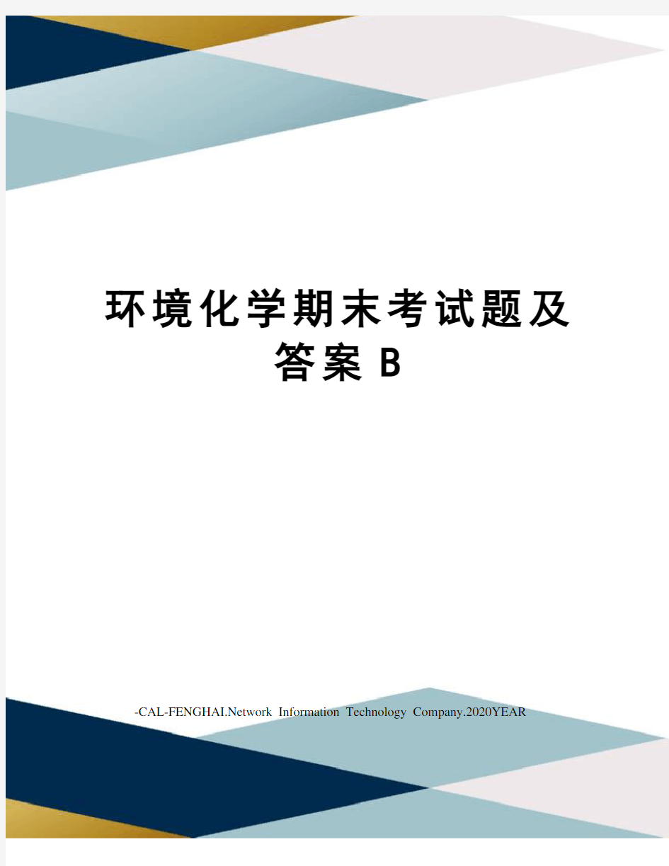 环境化学期末考试题及答案B