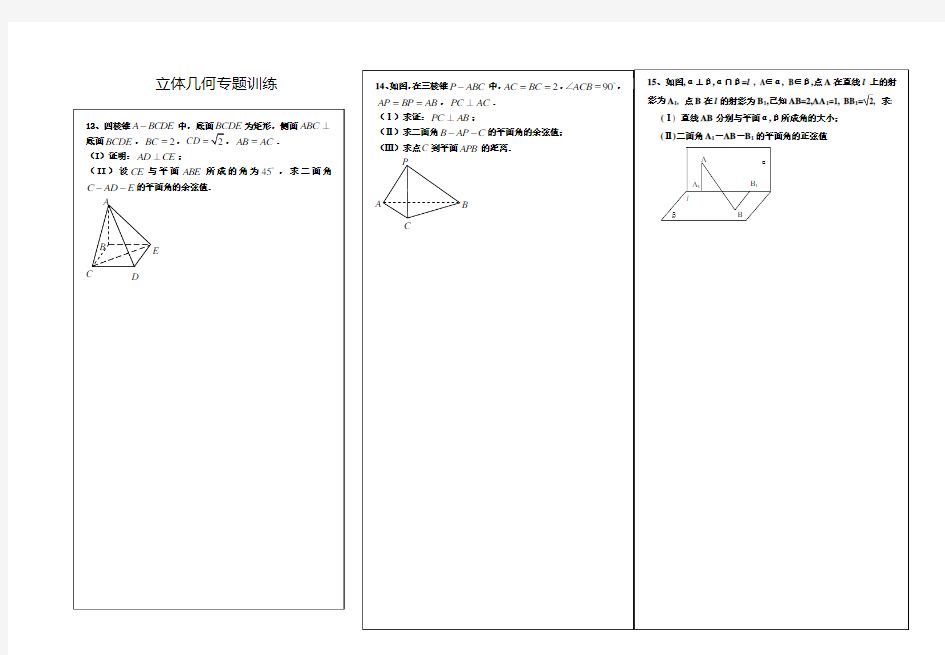 立体几何专题训练