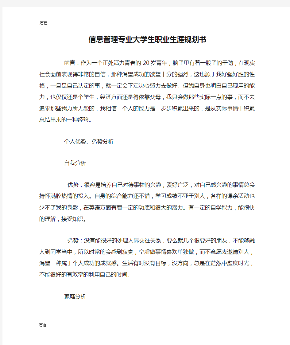 信息管理专业大学生职业生涯规划书