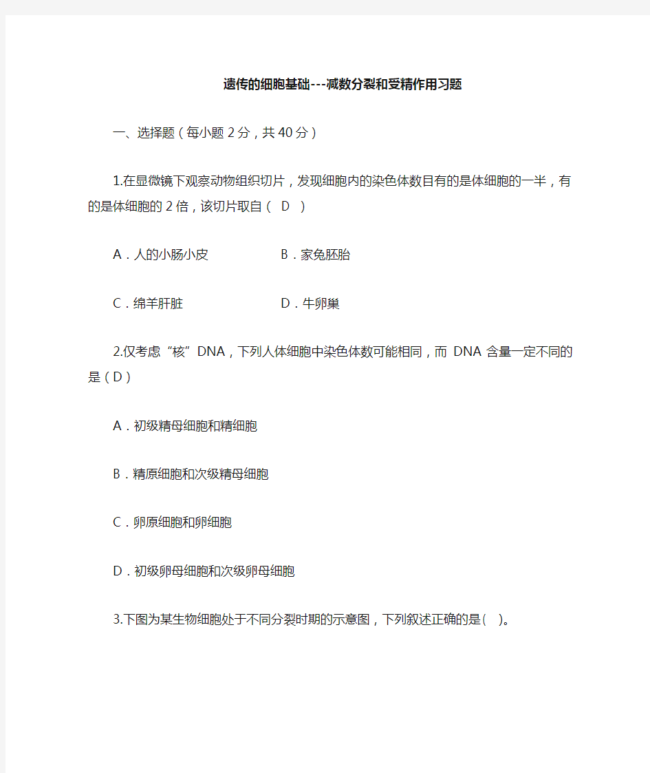 减数分裂与受精作用习题  含答案