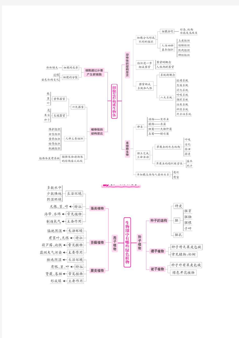 初中生物各章节概念图