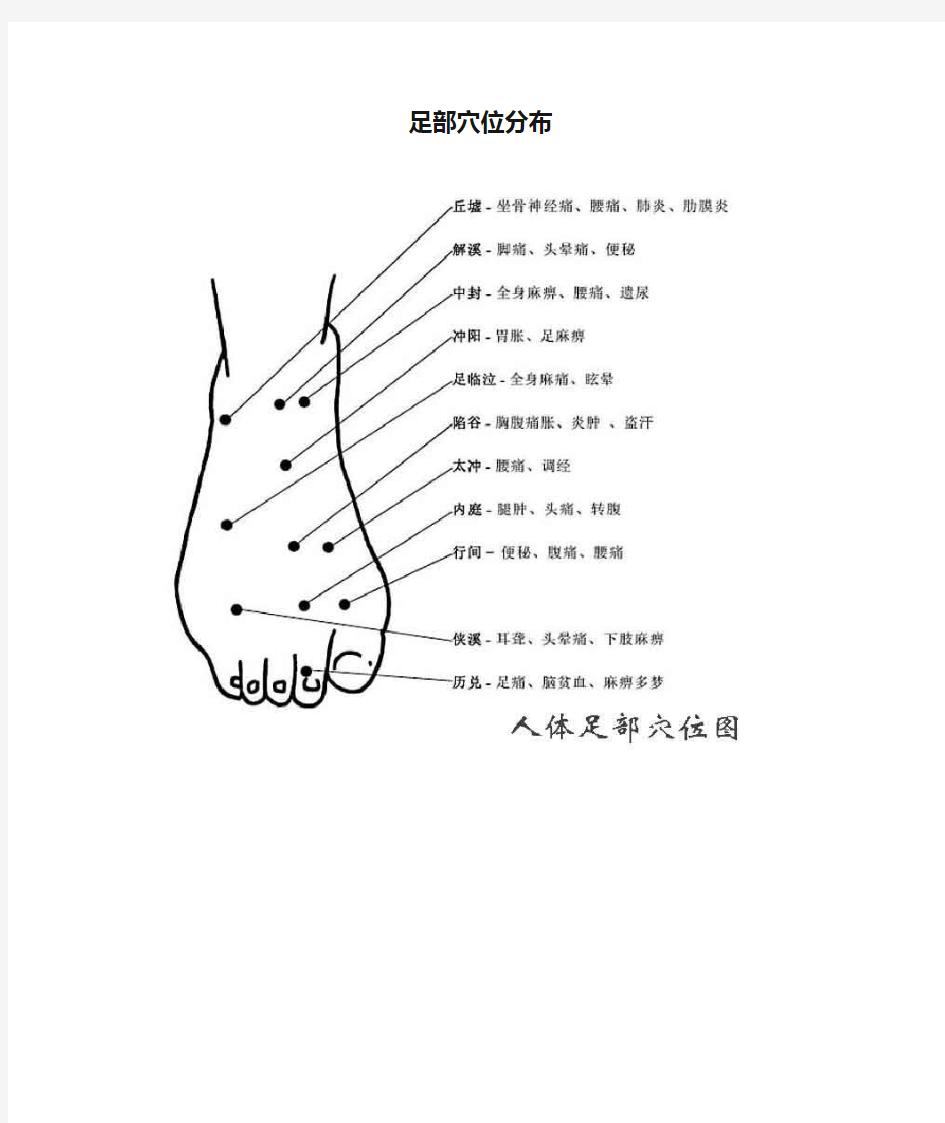 足部穴位分布