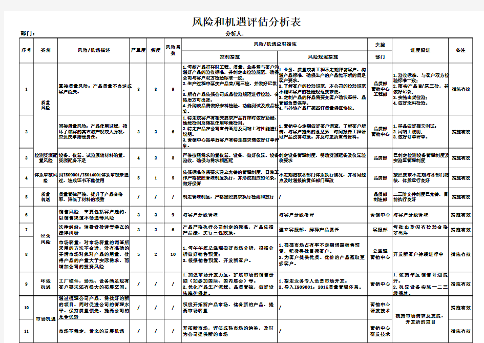 风险和机遇评估分析表(分部门)