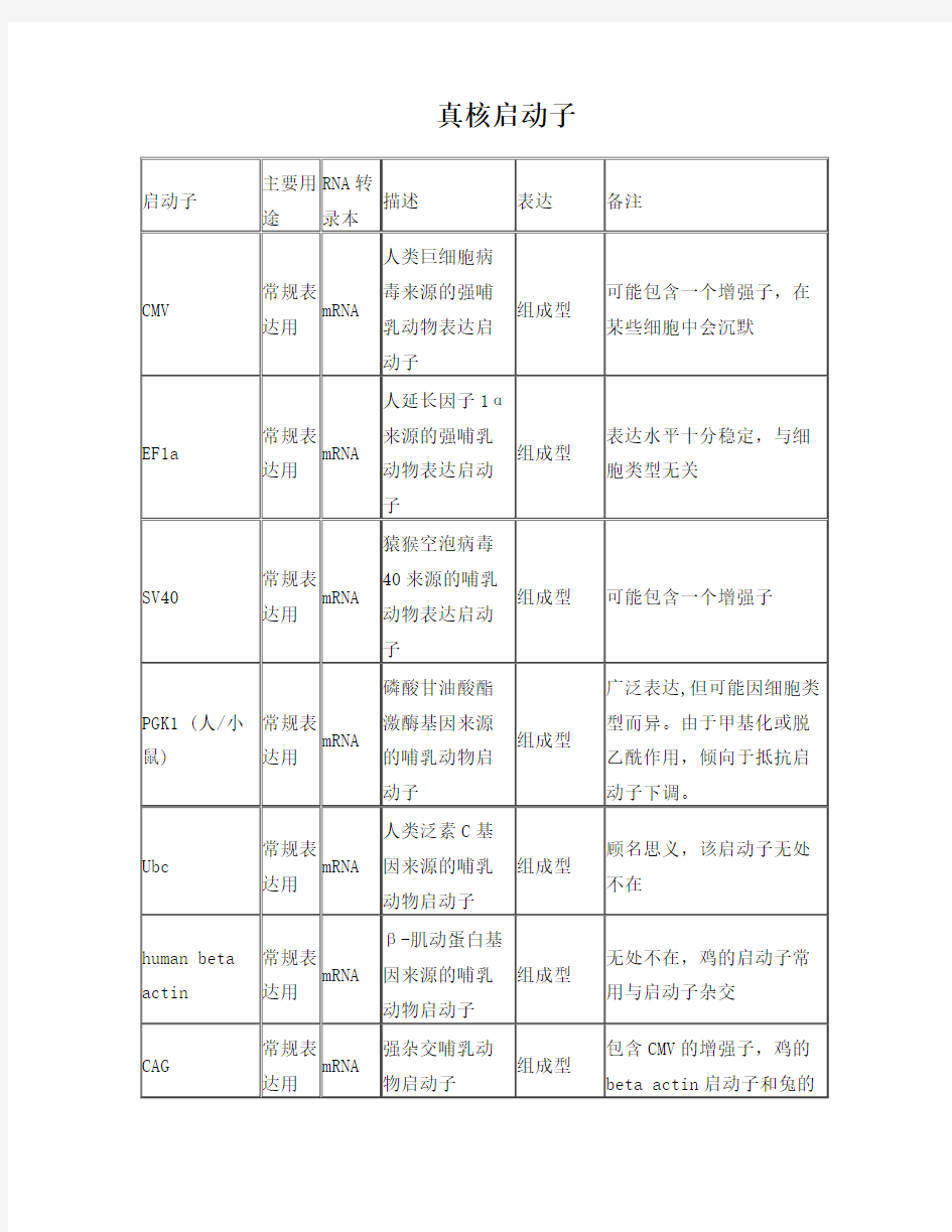 常见真核启动子及原核启动子特点