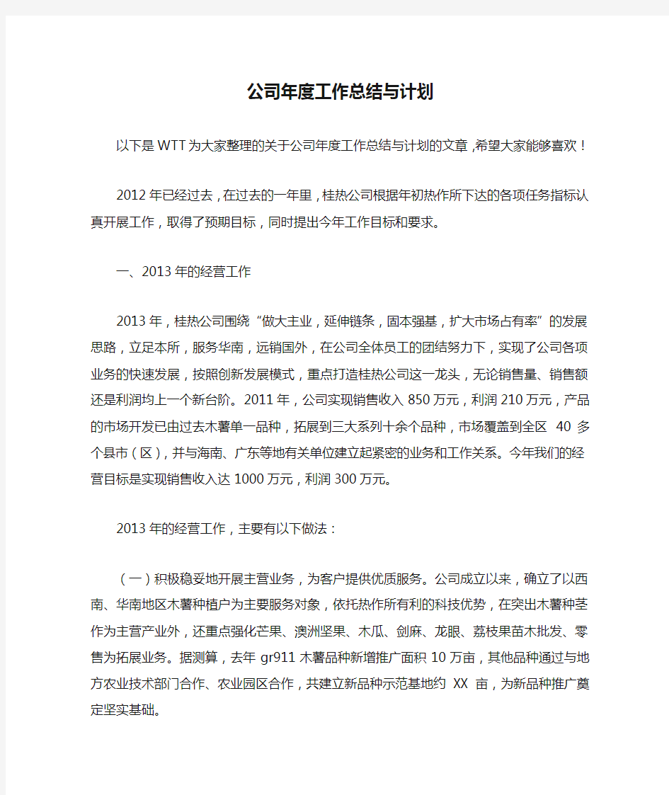 公司年度工作总结与计划