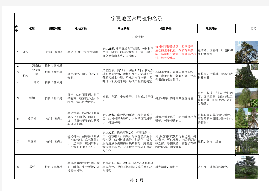 宁夏地区常用乔木植物汇总