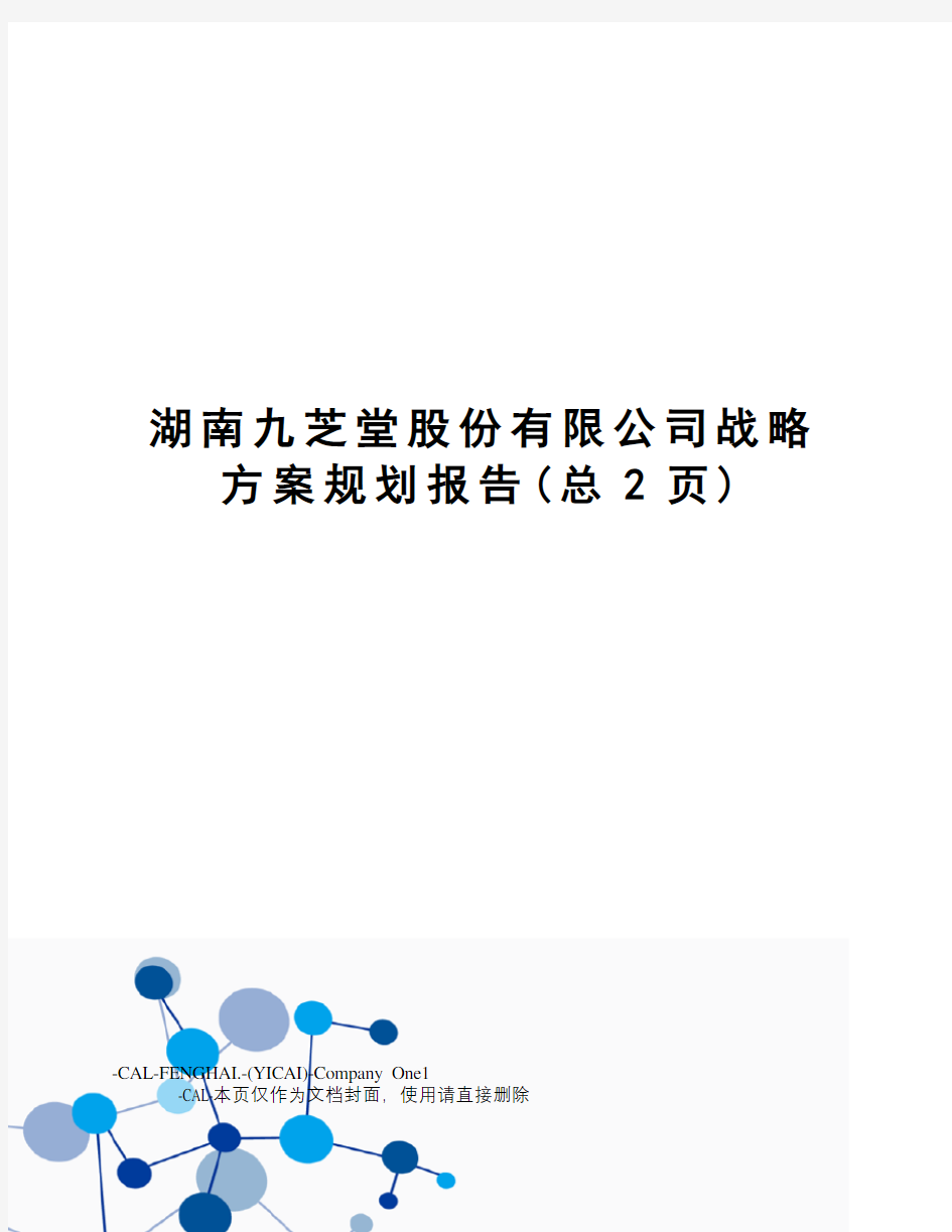 湖南九芝堂股份有限公司战略方案规划报告