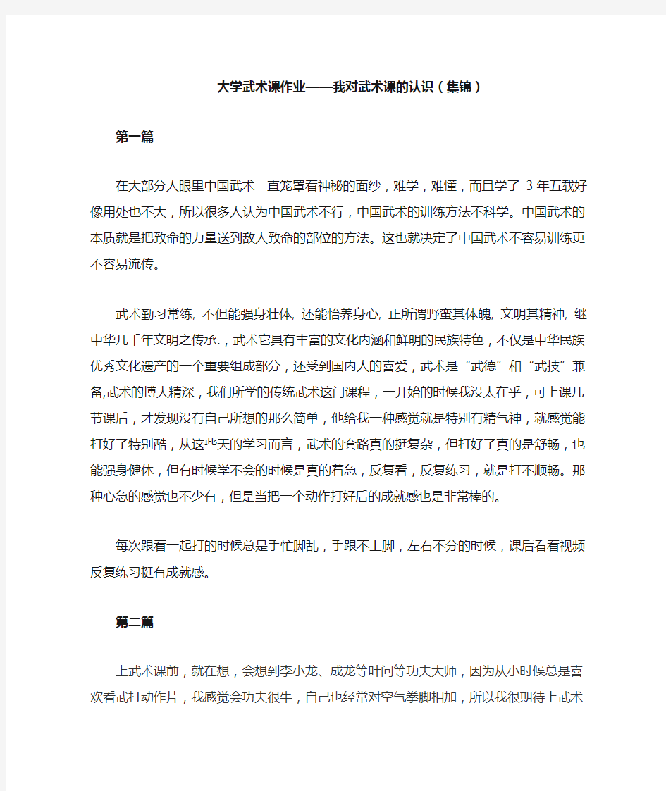 大学武术课—我对武术的认识(集锦)