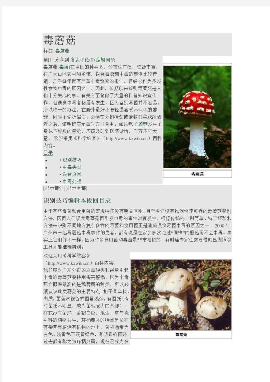 毒蘑菇识别