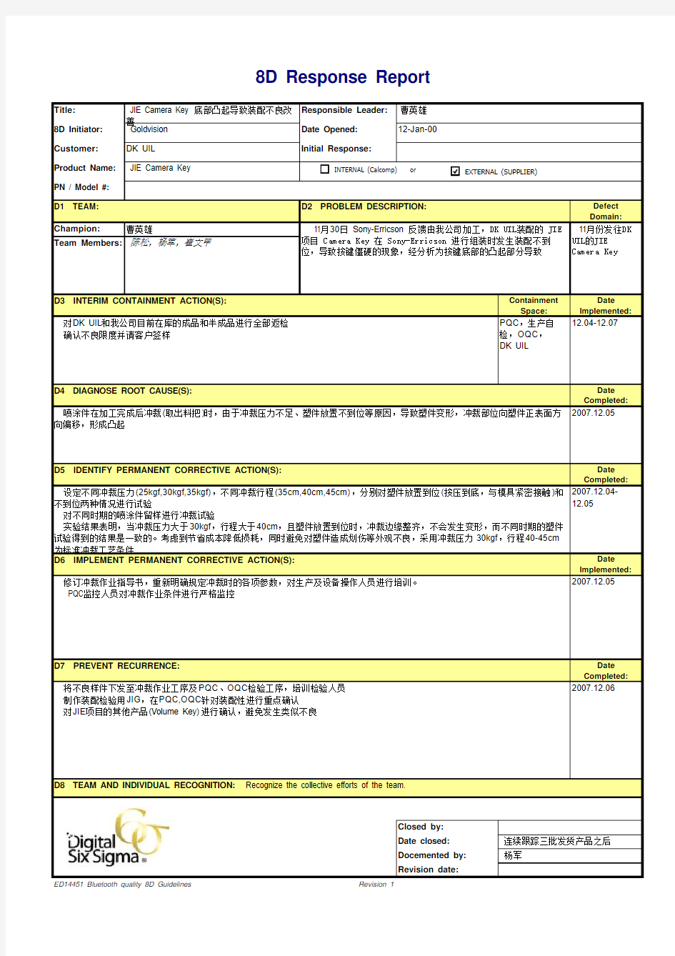 8D report 格式