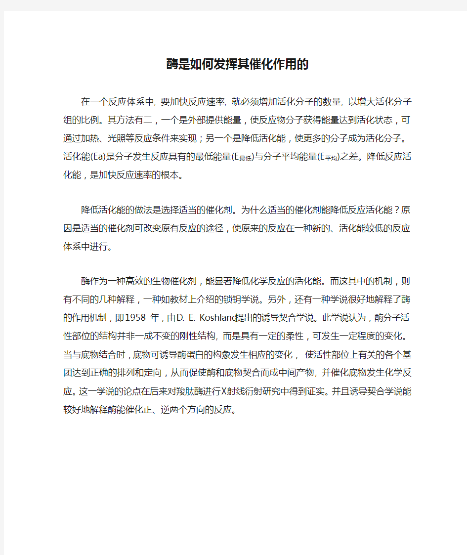 酶是如何发挥其催化作用的