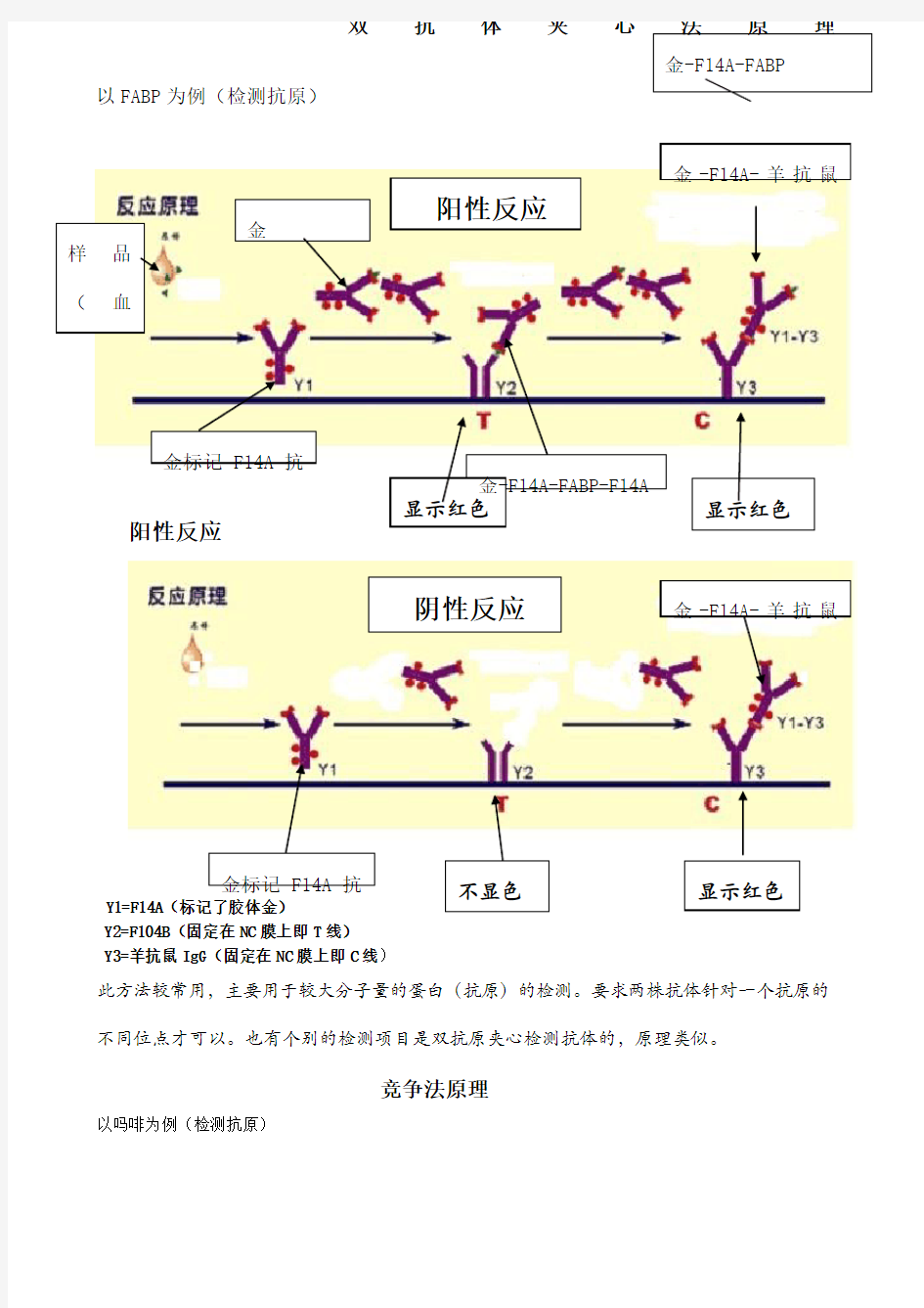 胶体金法各种方法法原理