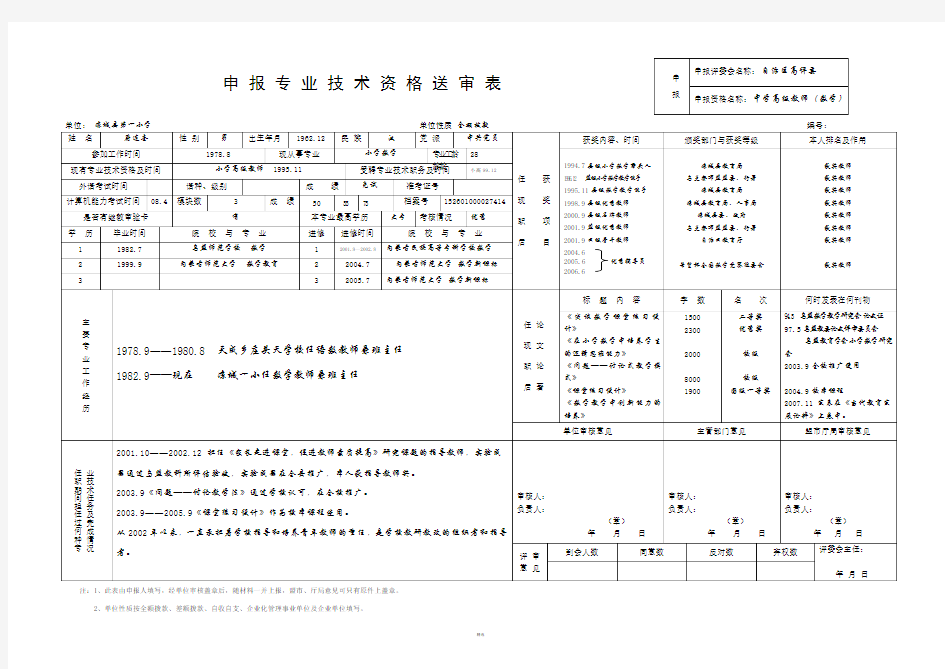 申报专业技术资格送审表