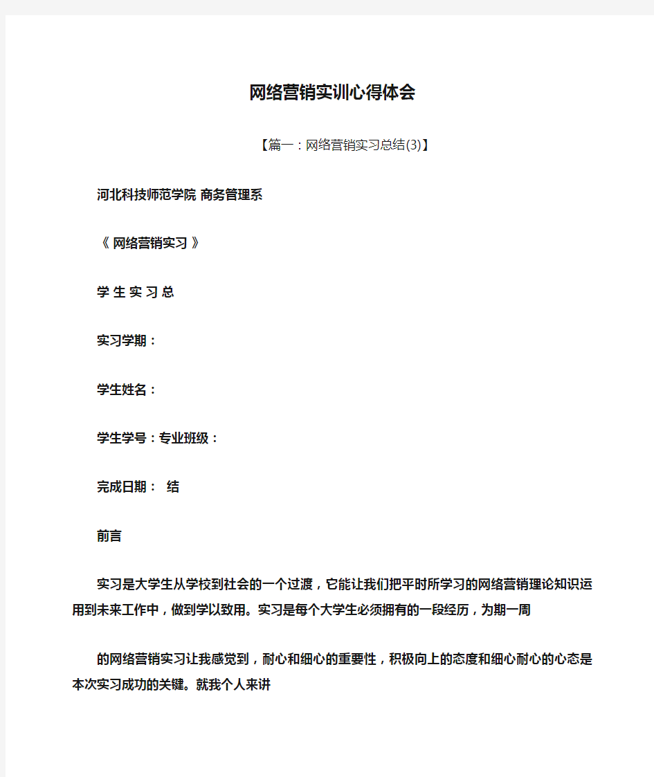 网络作文之网络营销实训心得体会