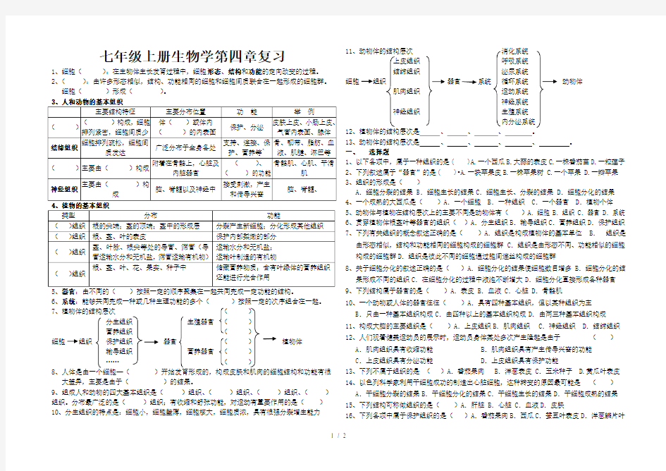 七年级生物生物体的结构层次练习题