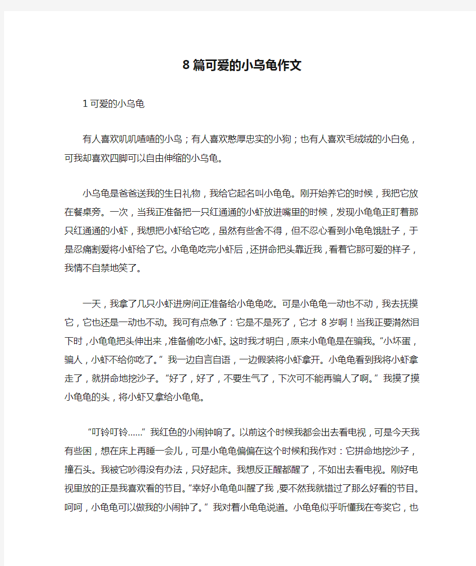 8篇可爱的小乌龟作文