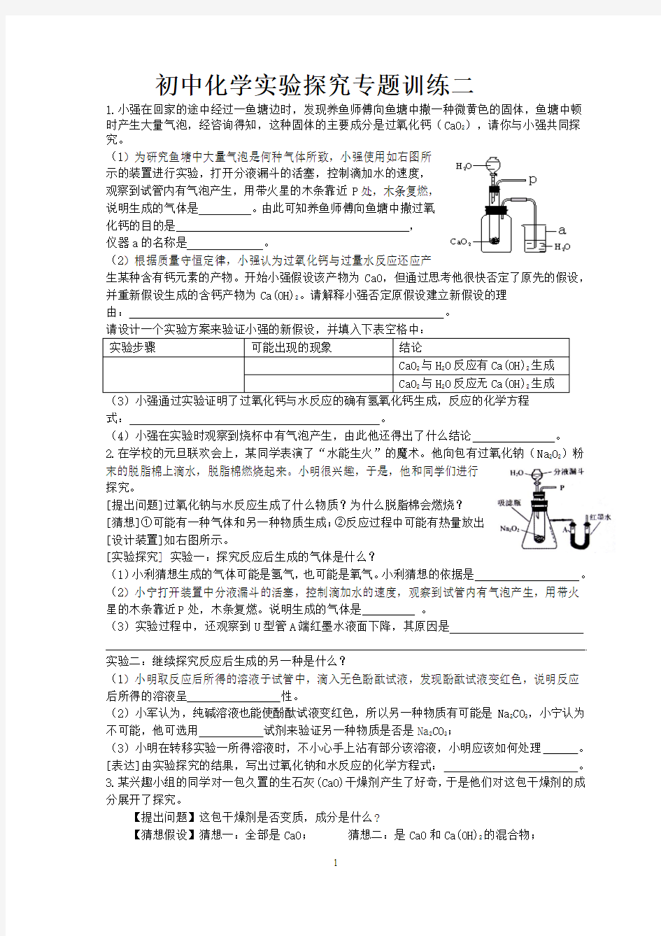 初中化学实验探究专题训练二