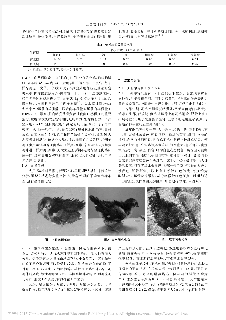 倒毛鸡生物学特性、屠宰性能及肉质性状研究