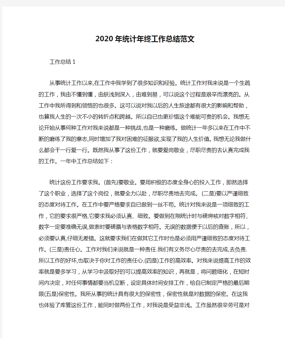 2020年统计年终工作总结范文