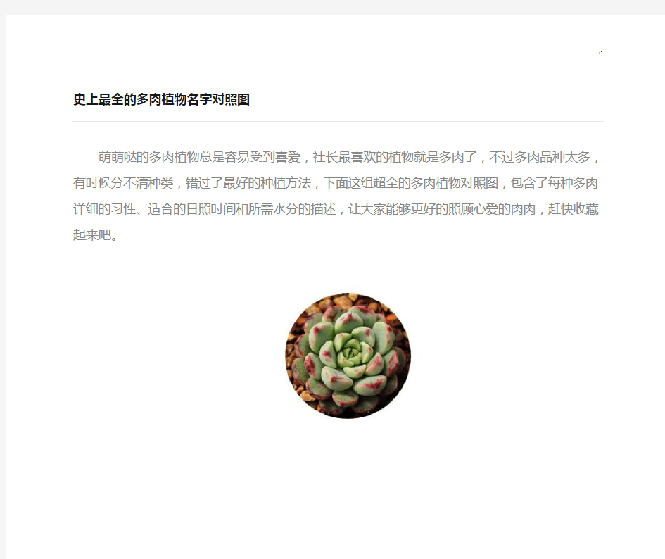 史上完整的多肉植物名字对照图