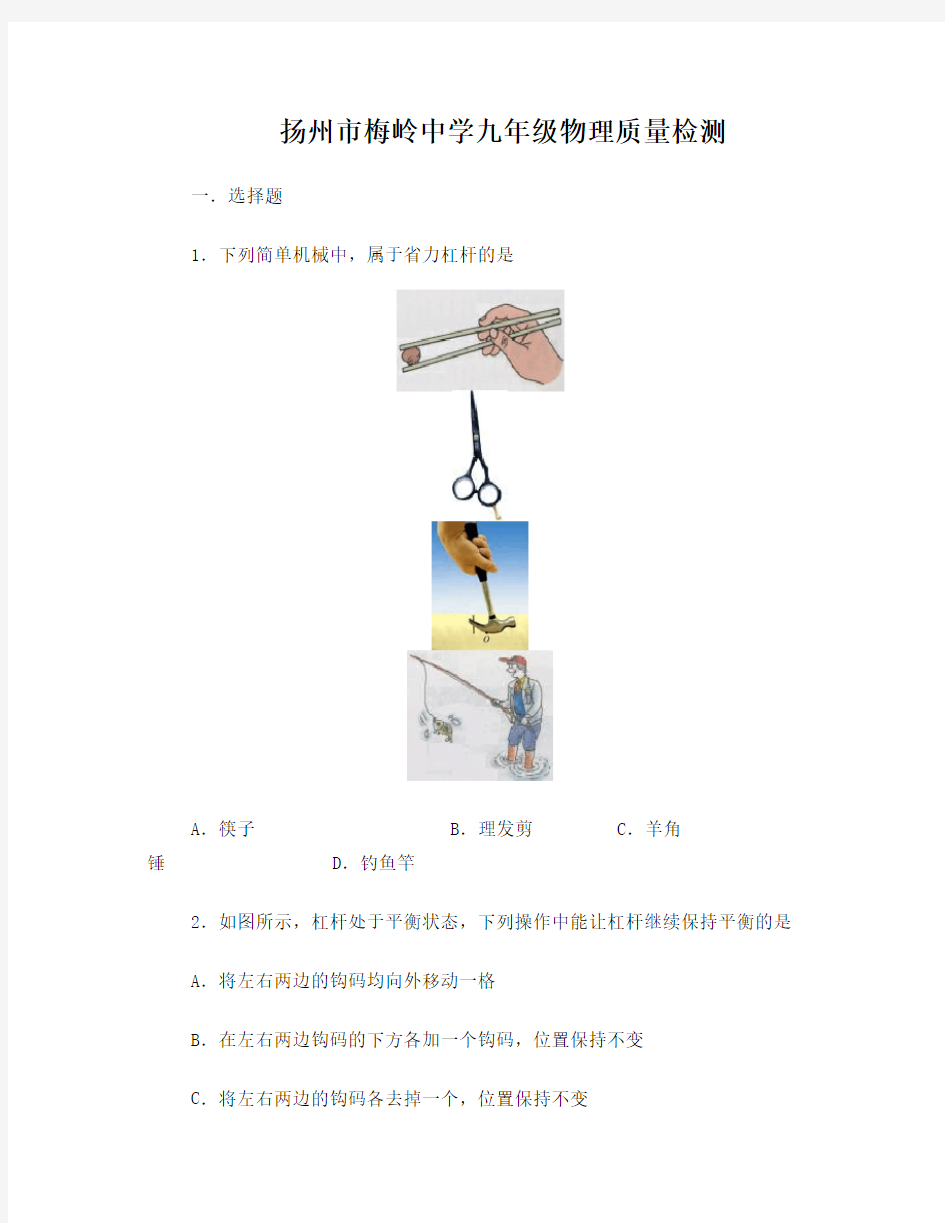 扬州市梅岭中学九年级物理质量检测